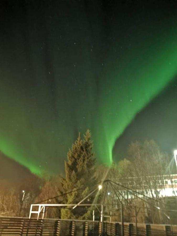 Aurora Rooms In Shared Hsuse Nr3 We Are Doing Northen Lights Trip, Reaindear Trip And Sommaroy Fjord Trips Tromso Bagian luar foto