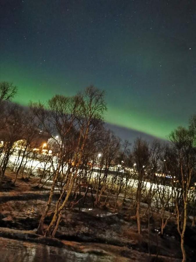 Aurora Rooms In Shared Hsuse Nr3 We Are Doing Northen Lights Trip, Reaindear Trip And Sommaroy Fjord Trips Tromso Bagian luar foto
